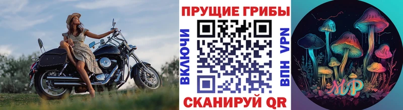 Псилоцибиновые грибы GOLDEN TEACHER  Тулун 