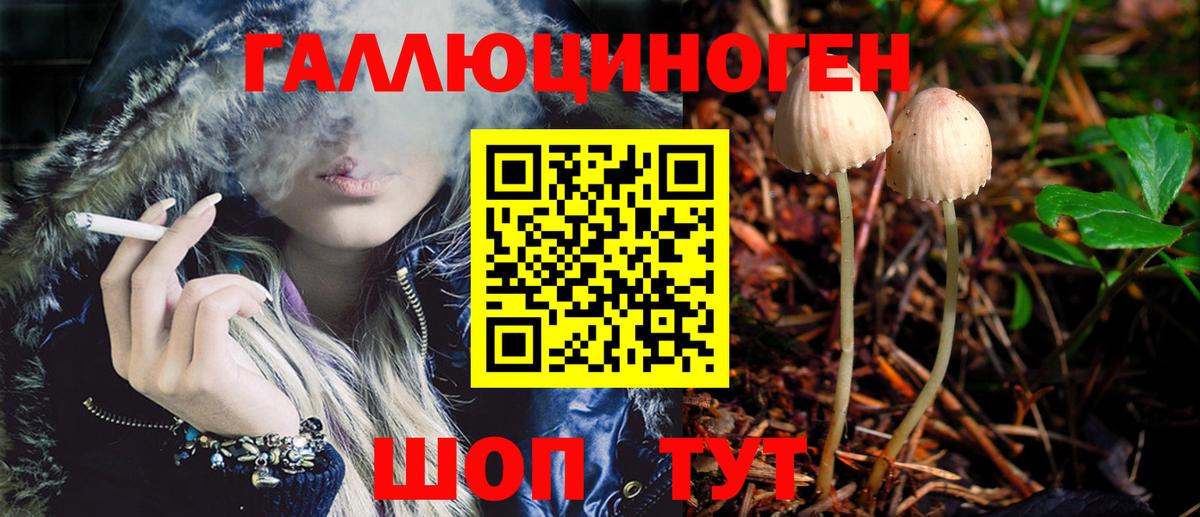 Псилоцибиновые грибы прущие грибы  Вход с VPN  Тулун  Галлюциногенные грибы Cubensis 