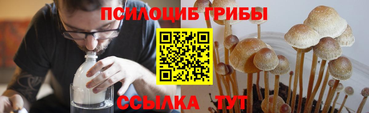 Галлюциногенные грибы мицелий Тулун