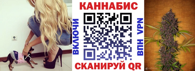Бошки марихуана THC 21%  Тулун 